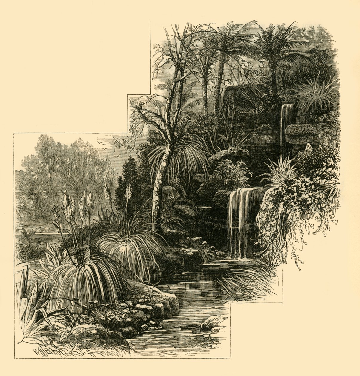 Tropické zahrady, Battersea Park, c1878. od Unbekannt