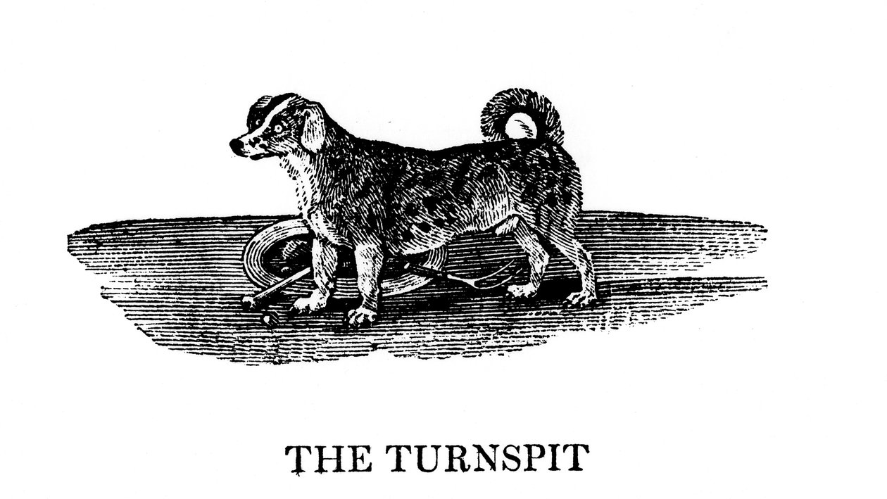The Tunspit, 1790 od Unbekannt