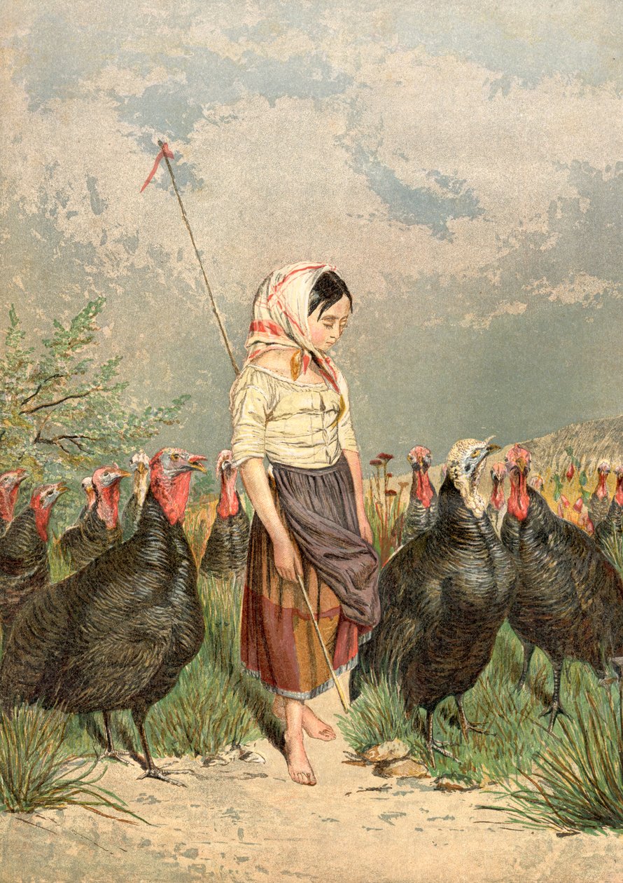 The Turkey Guardian, 1858 od Unbekannt