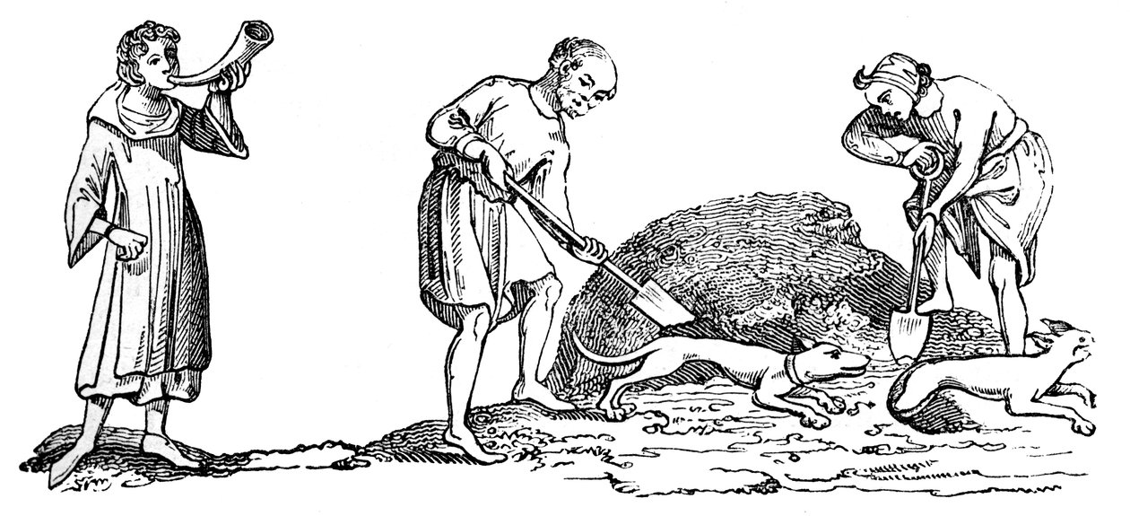 Odhalení lišky, 14. století, 1833 od Unbekannt