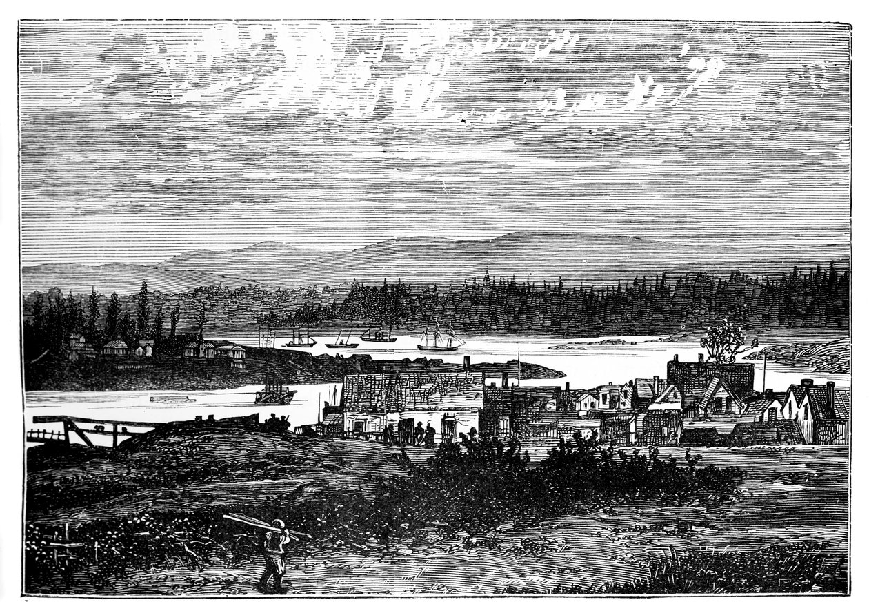 Západní předměstí Victorie, Vancouver Island, Kanada, c1888 od Unbekannt