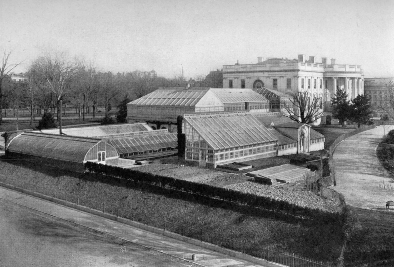 Bílý dům a skleníky, Washington DC, USA, 1908 od Unbekannt