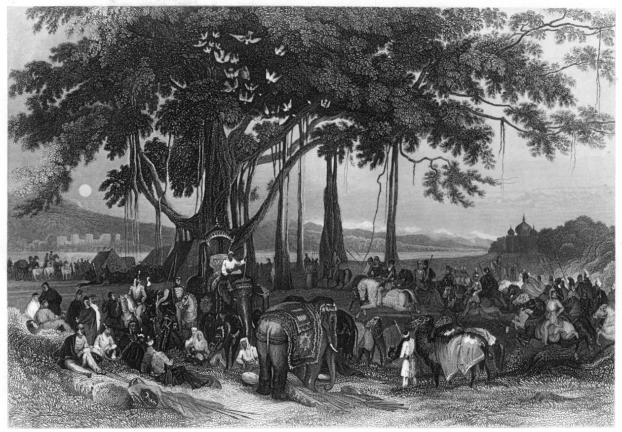 Příjezd kontingentu sikhské nepravidelné jízdy, Indie, c1860 od Unbekannt