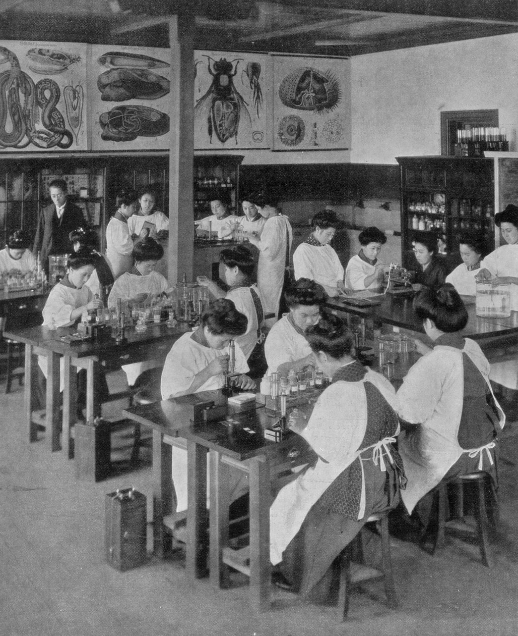 Vyšší vzdělání žen v Japonsku, 1910 od Unbekannt