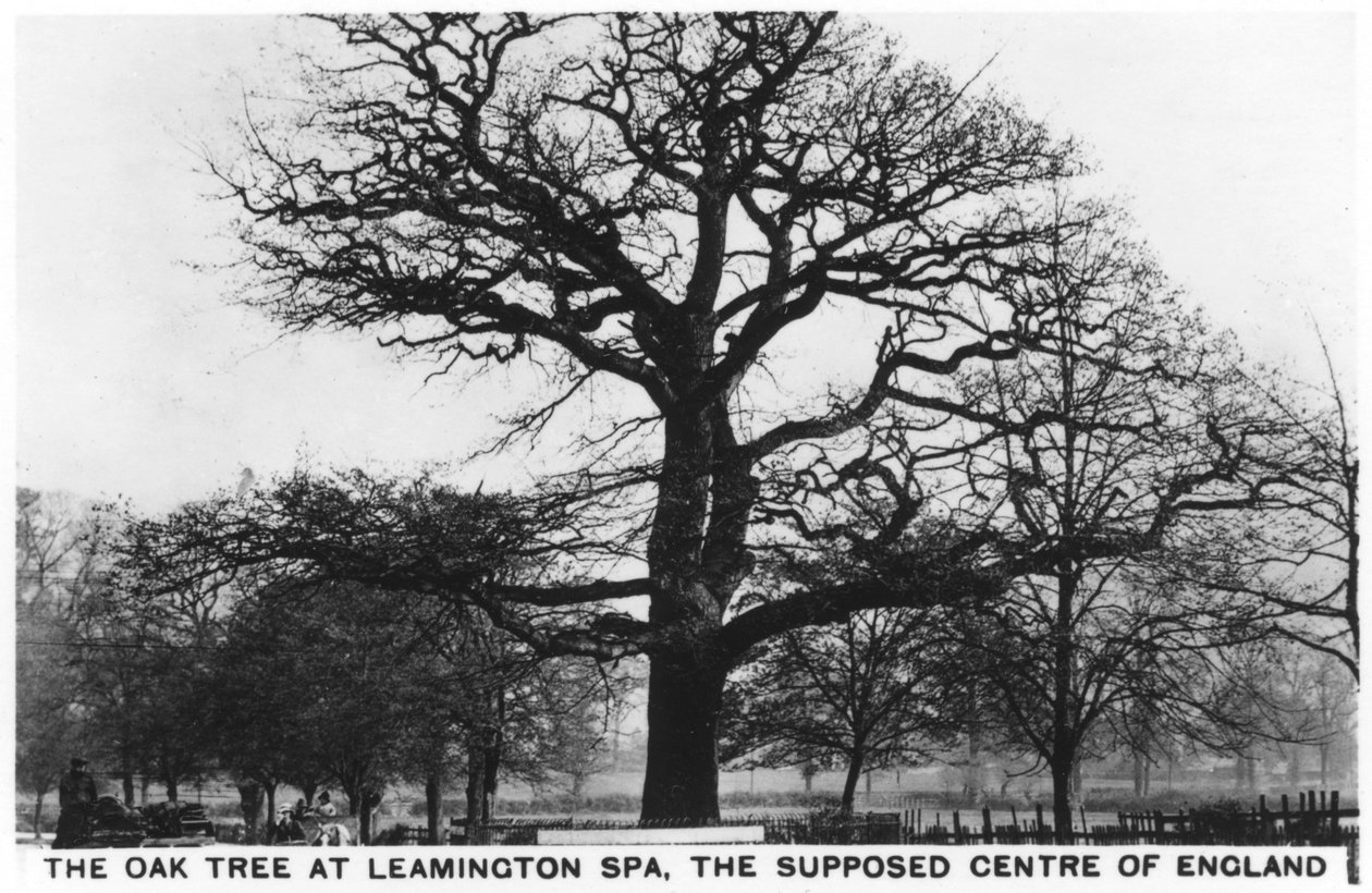 Dub v Leamington Spa, údajném centru Anglie, 1936 od Unbekannt