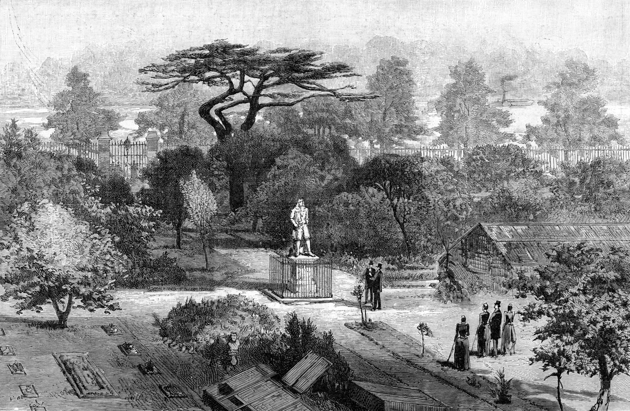 Stará fyzická zahrada, Chelsea, 1890 od Unbekannt