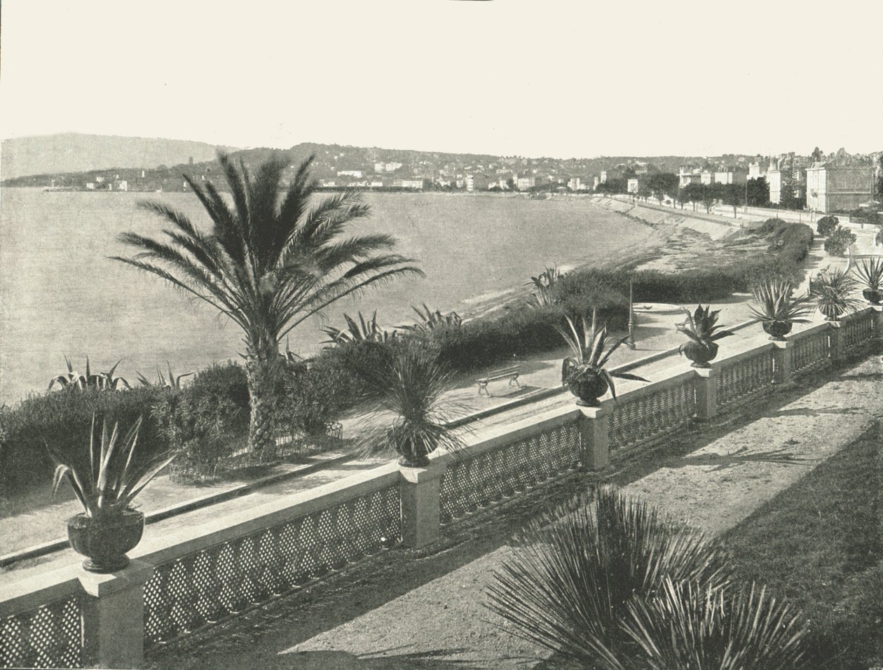 Panorama La Croisette, Cannes, Francie, 1895. od Unbekannt