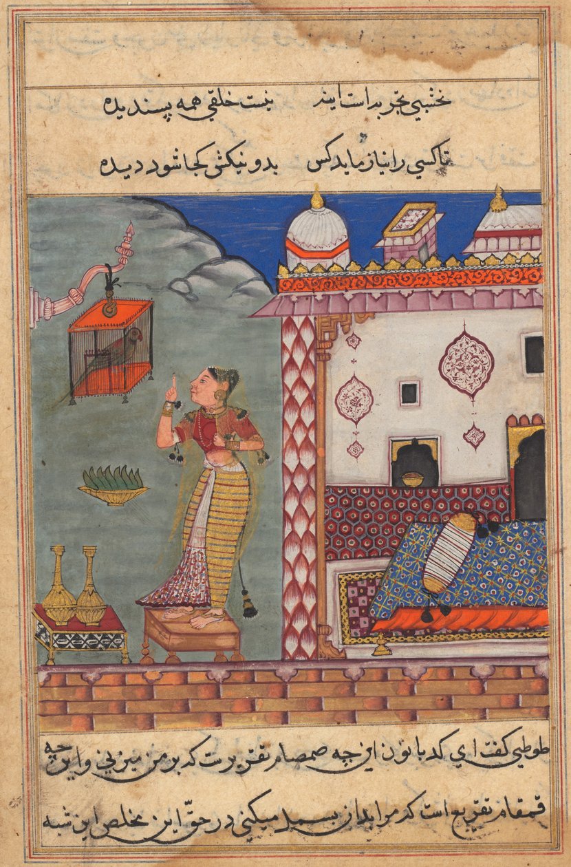 Papoušek osloví Khujastu na začátku dvacáté sedmé noci, recto of folio 185...c15 od Unbekannt