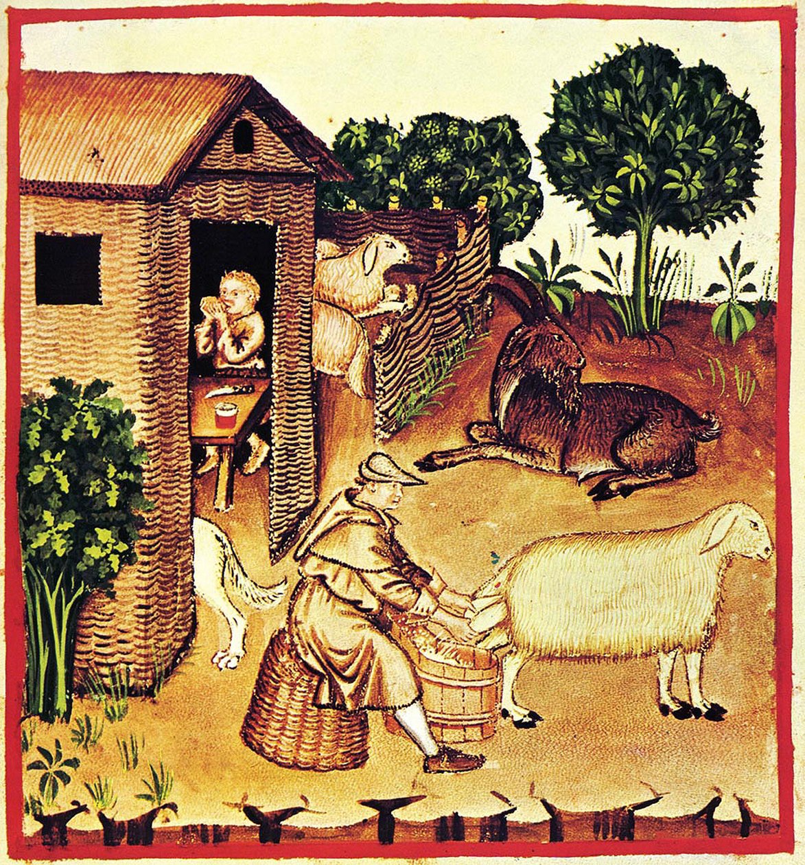 Výroba sýra. Miniatura z Tacuinum Sanitatis, druhá polovina 14. stol. od Unbekannt