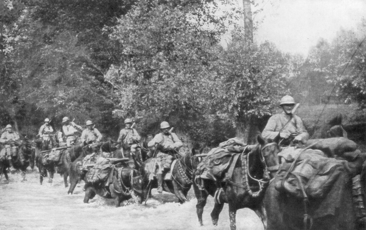 Zásobování kulometné jednotky na koni, Aisne, Francie, 2. září 1918 od Unbekannt