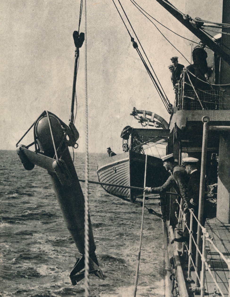 Paravana ve tvaru žraloka, 1943 od Unbekannt