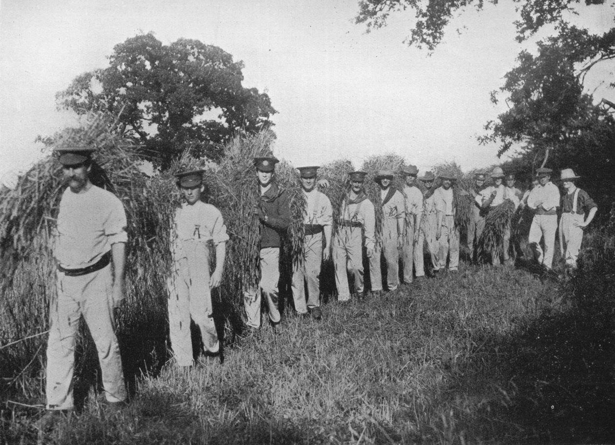 Nedostatek zemědělské pracovní síly: Vojáci pomáhající při sklizni, 1915 od Unbekannt