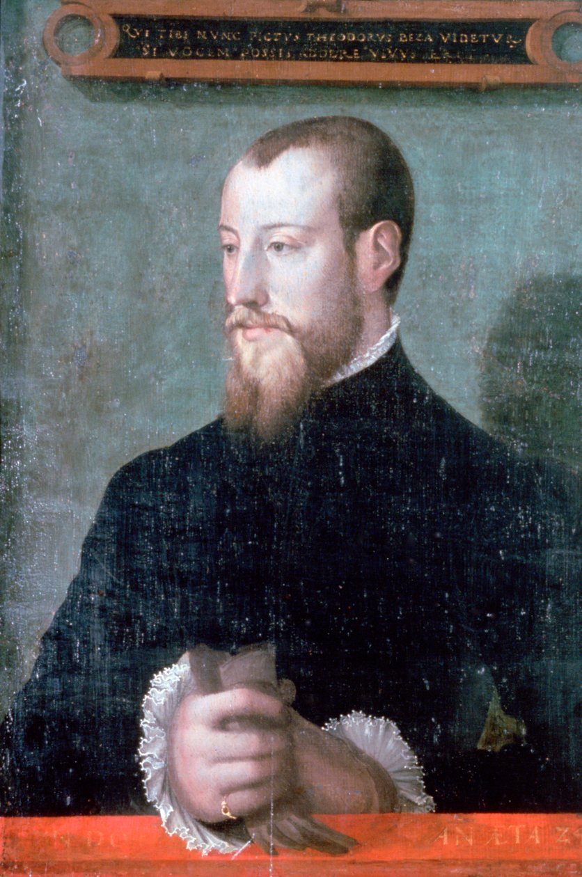 Theodore Beza, francouzský protestantský učenec a teolog, 16. století od Unbekannt