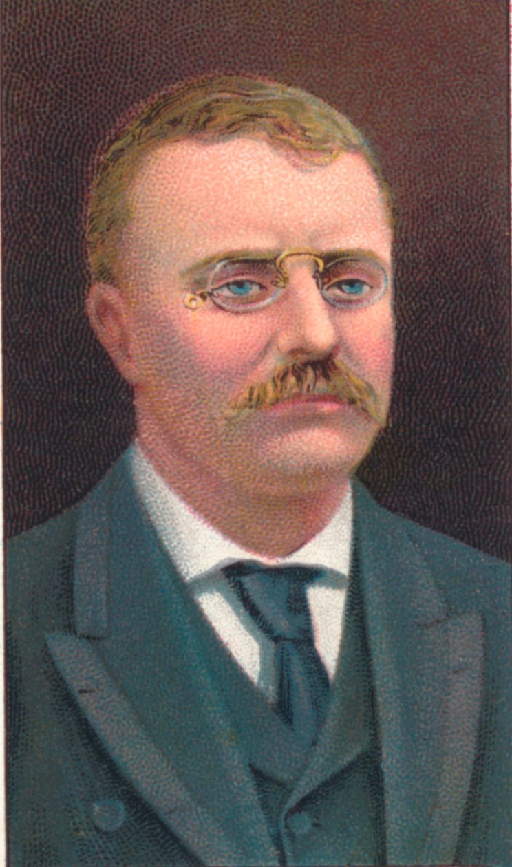 Theodore Roosevelt 1858-1919, 26. prezident Spojených států, 1906 od Unbekannt