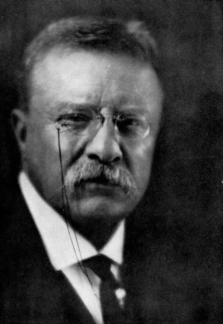 Theodore Roosevelt, 26. prezident Spojených států, 1933 od Unbekannt