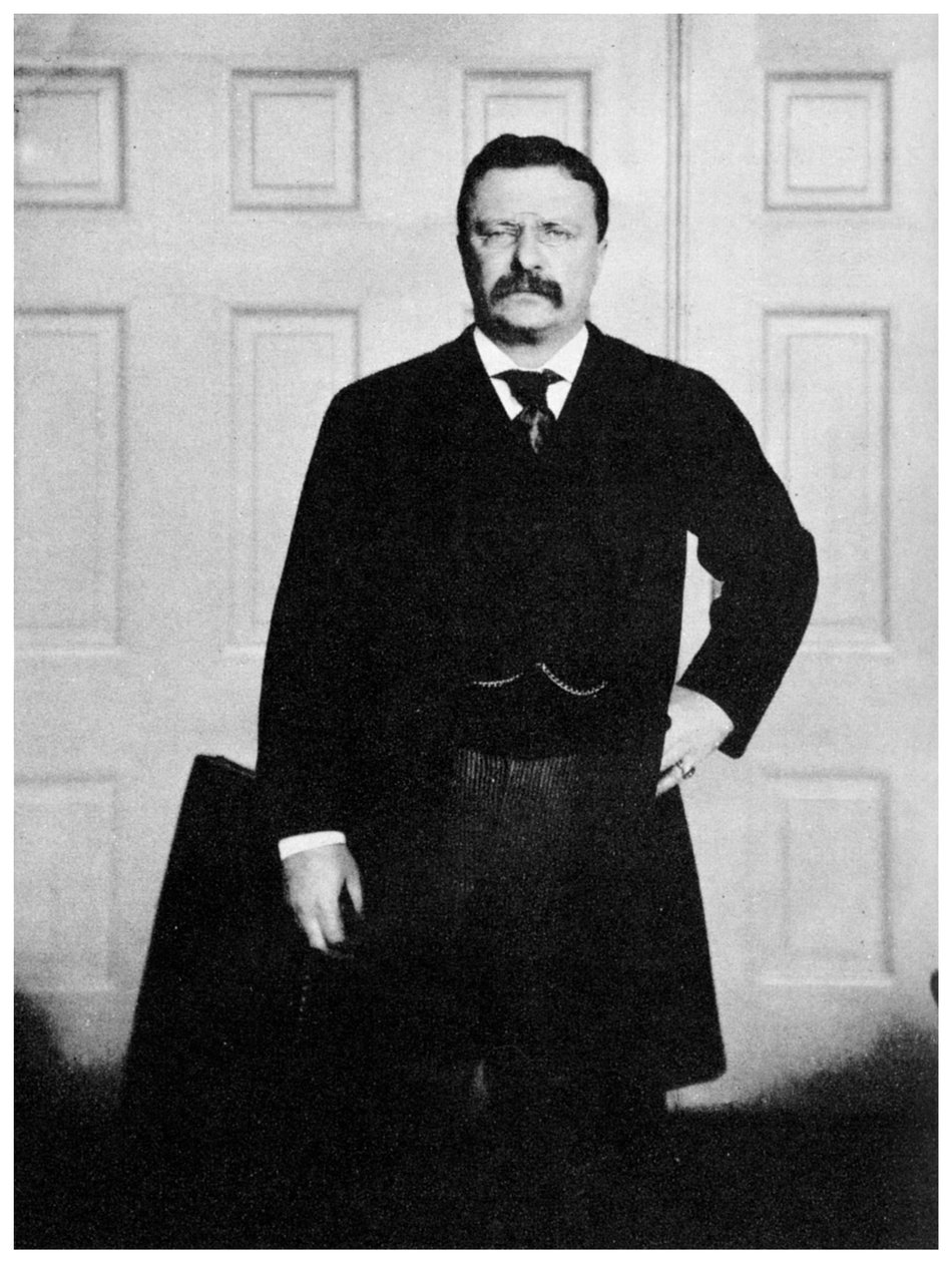 Theodore Roosevelt, 26. prezident Spojených států, 1900s 1955 od Unbekannt