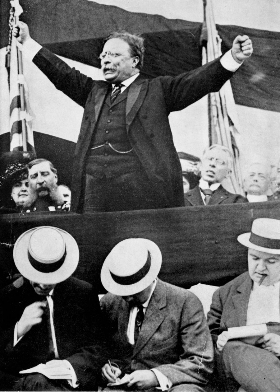 Theodore Roosevelt, americký prezident, 1901-1909 od Unbekannt