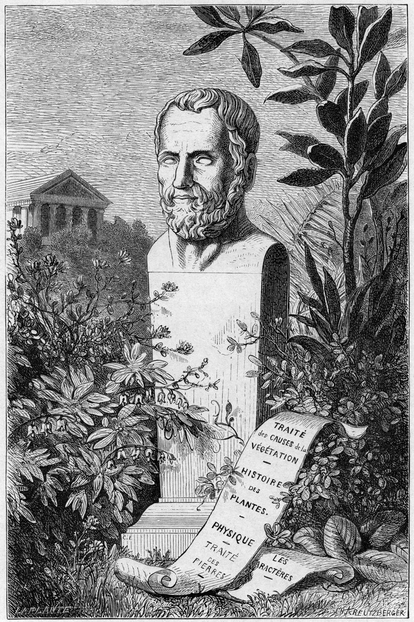 Theophrastus, starověký řecký filozof a vědec, 1866 od Unbekannt