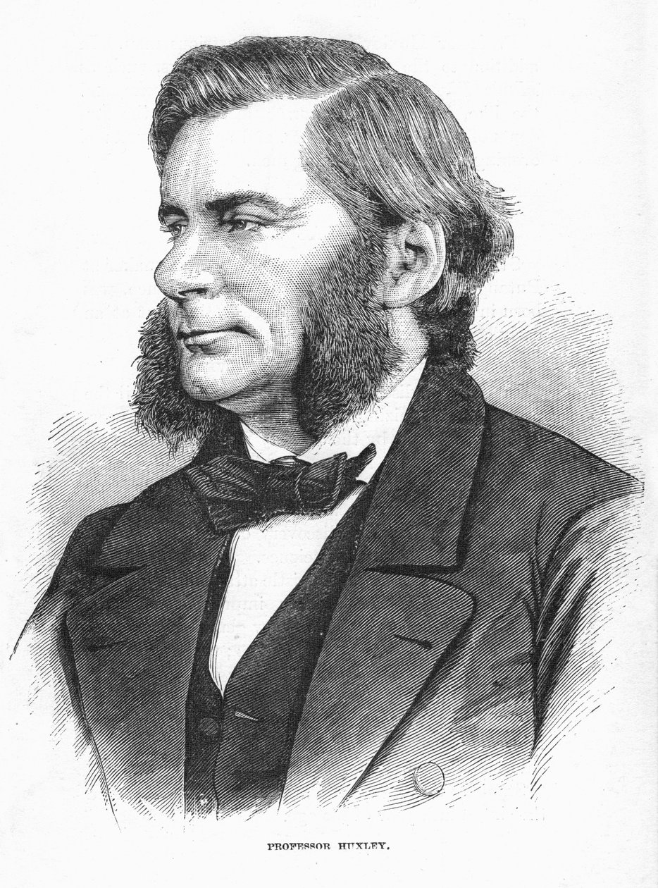 Thomas Henry Huxley, britský biolog, c1860 od Unbekannt