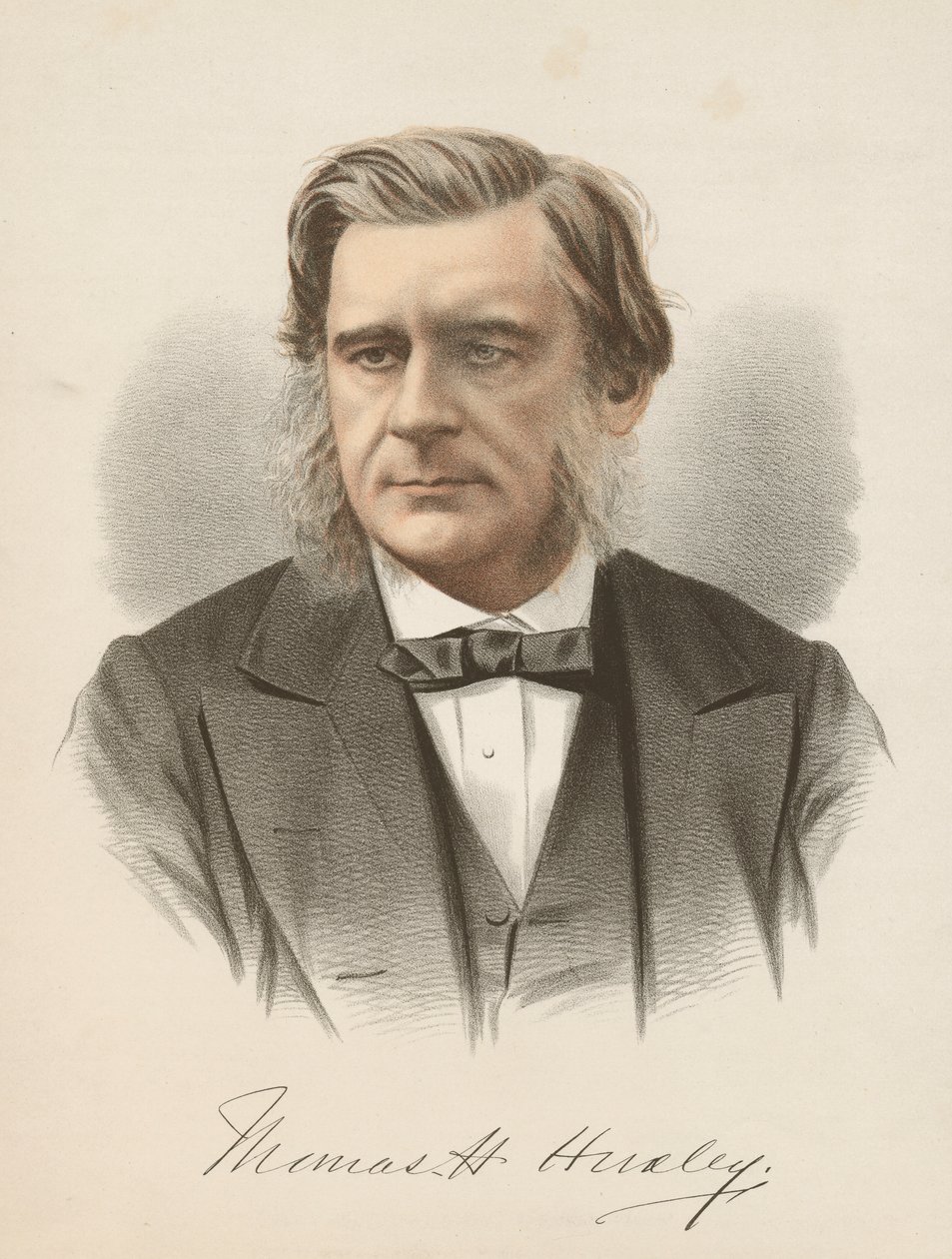 Thomas Henry Huxley, anglický biolog, c1880 od Unbekannt