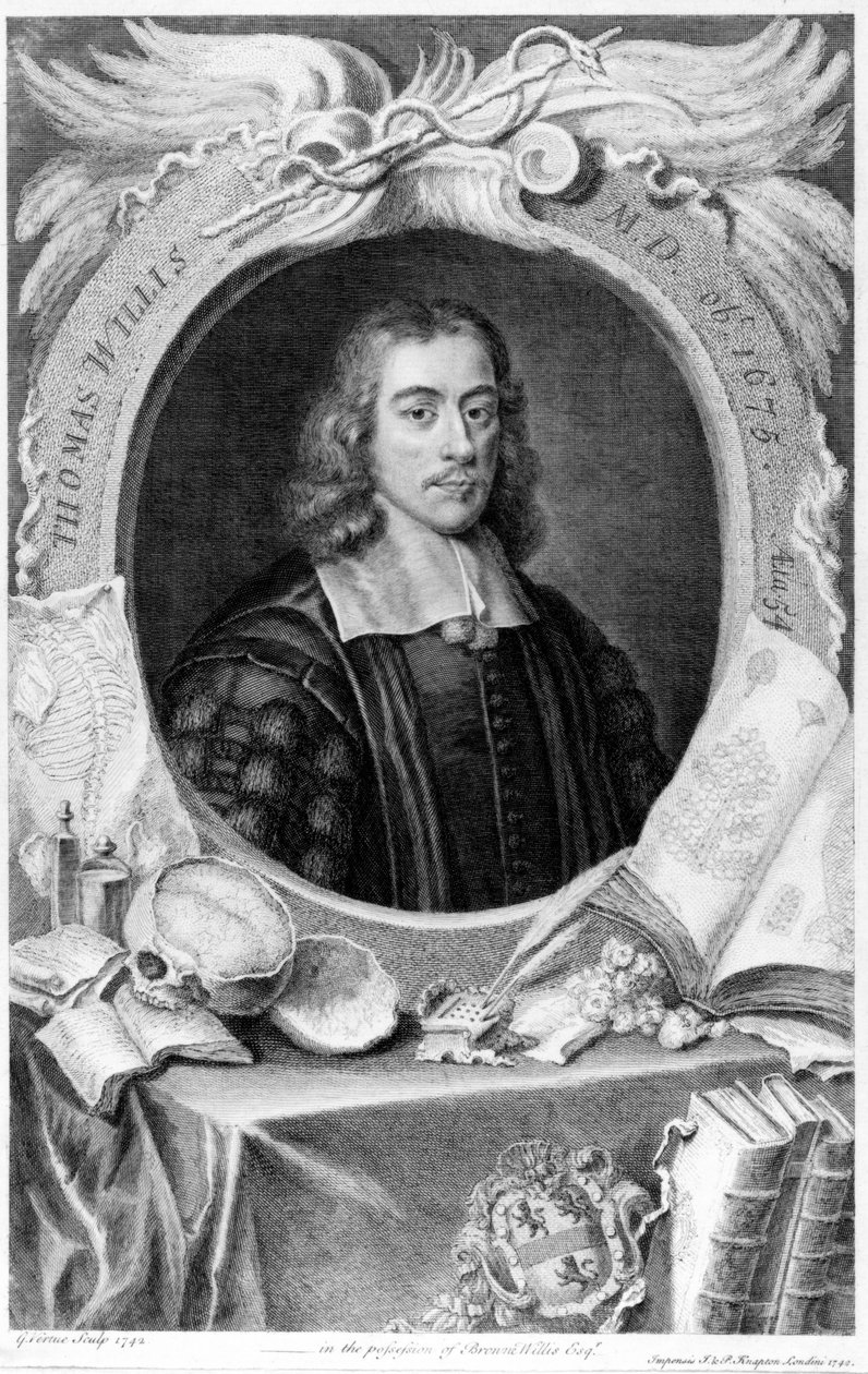 Thomas Willis, anglický lékař, c 1660 od Unbekannt