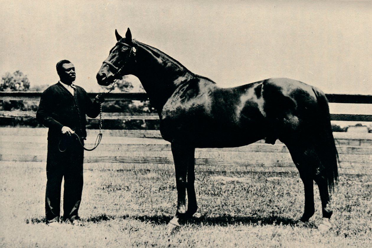 Plnokrevný dostihový kůň, Man O War, c1920 od Unbekannt