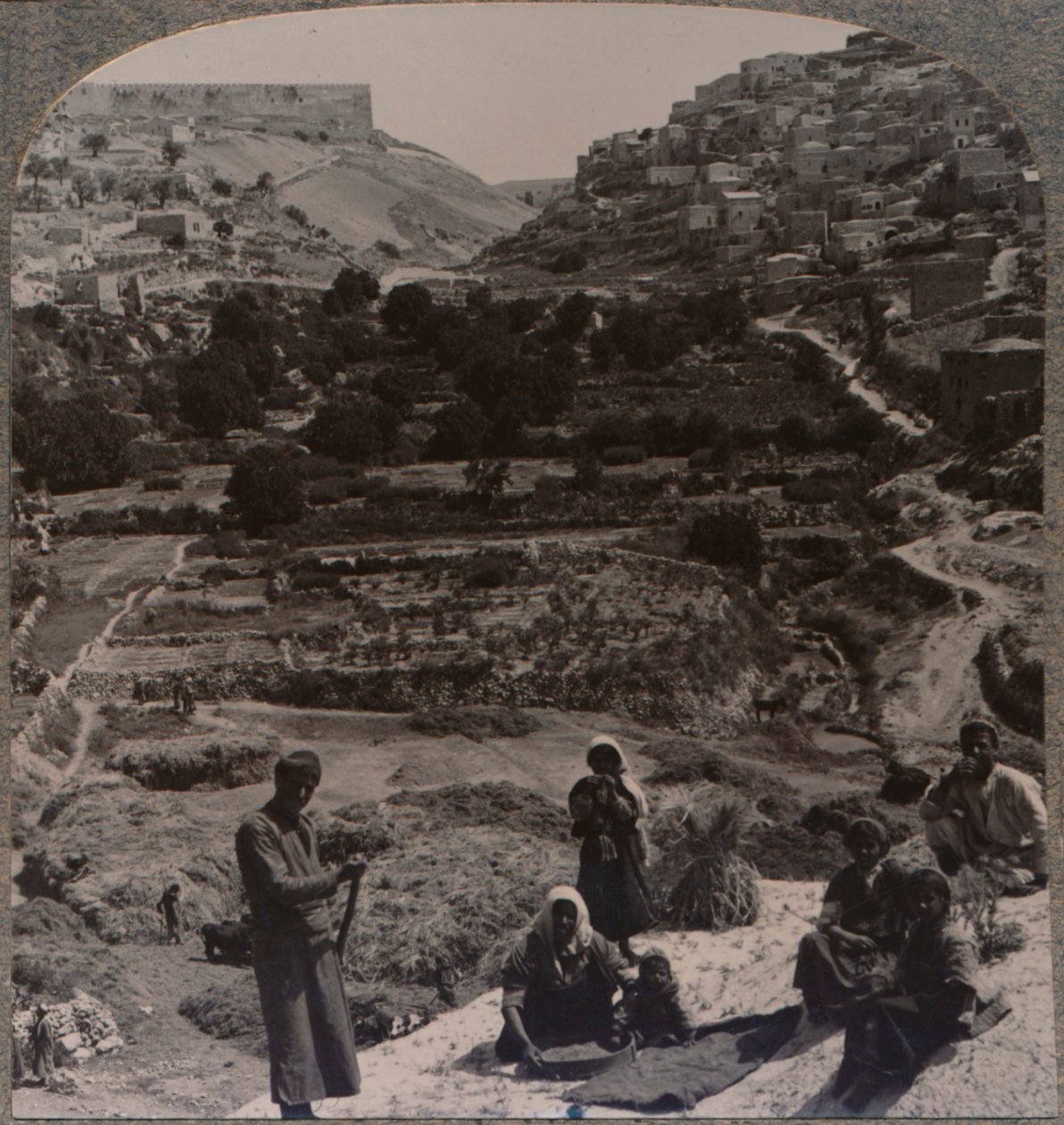 Mlácení na střeše, s výhledem na údolí Kedron, c1900 od Unbekannt