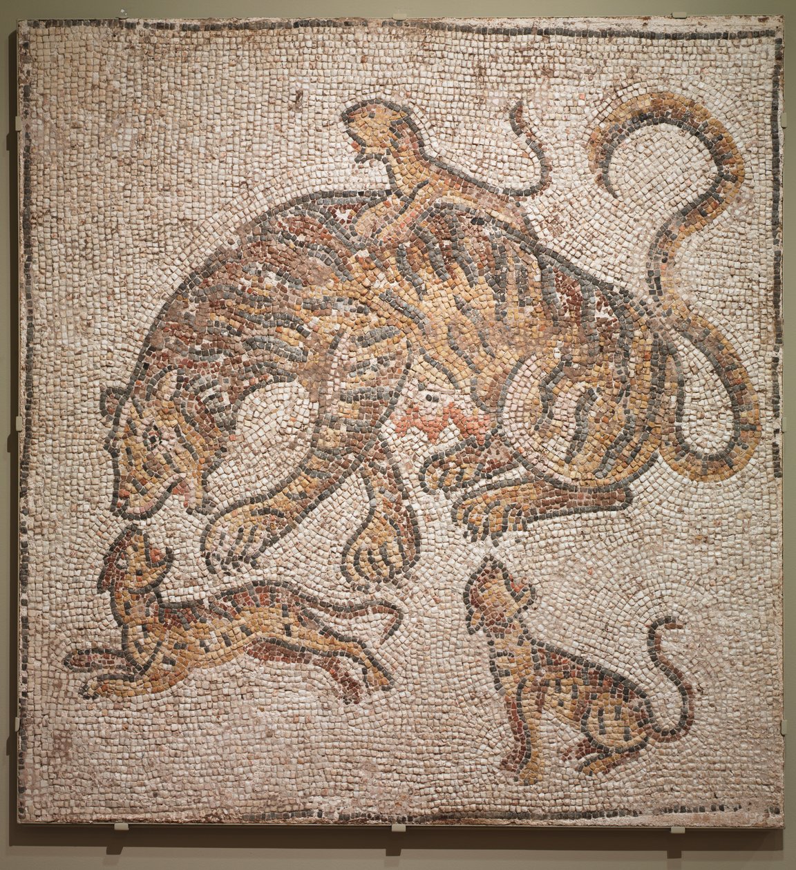 Tygřice a mláďata, 300. léta. od Unbekannt