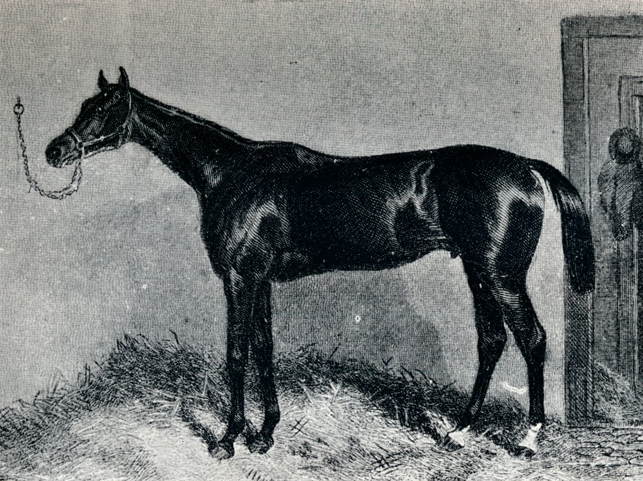 Tim Whiffler, c1860, 1911 od Unbekannt