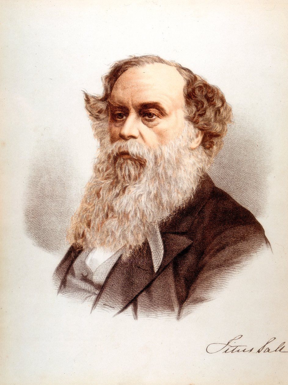 Titus Salt, britský vlnař a průmyslník, c1880 od Unbekannt