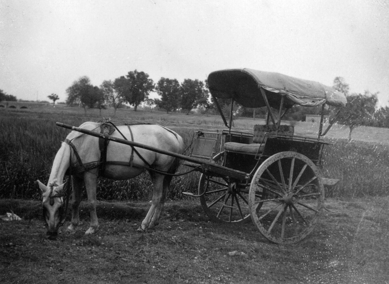 Koňský vozík Tonga, Muttra, Indie, 1917 od Unbekannt