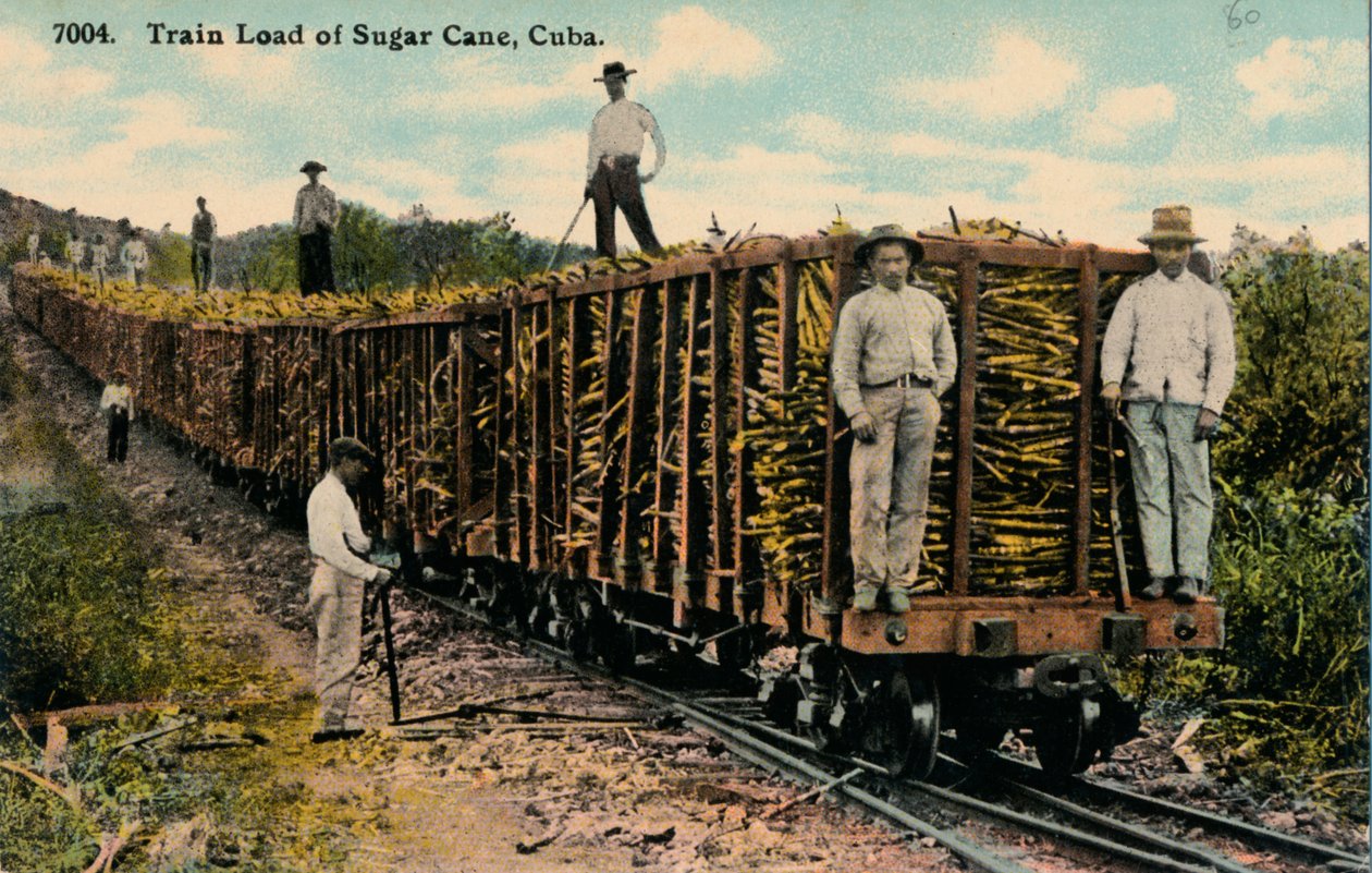 Vlak nákladu cukrové třtiny opouští pole, Kuba, 1915 od Unbekannt