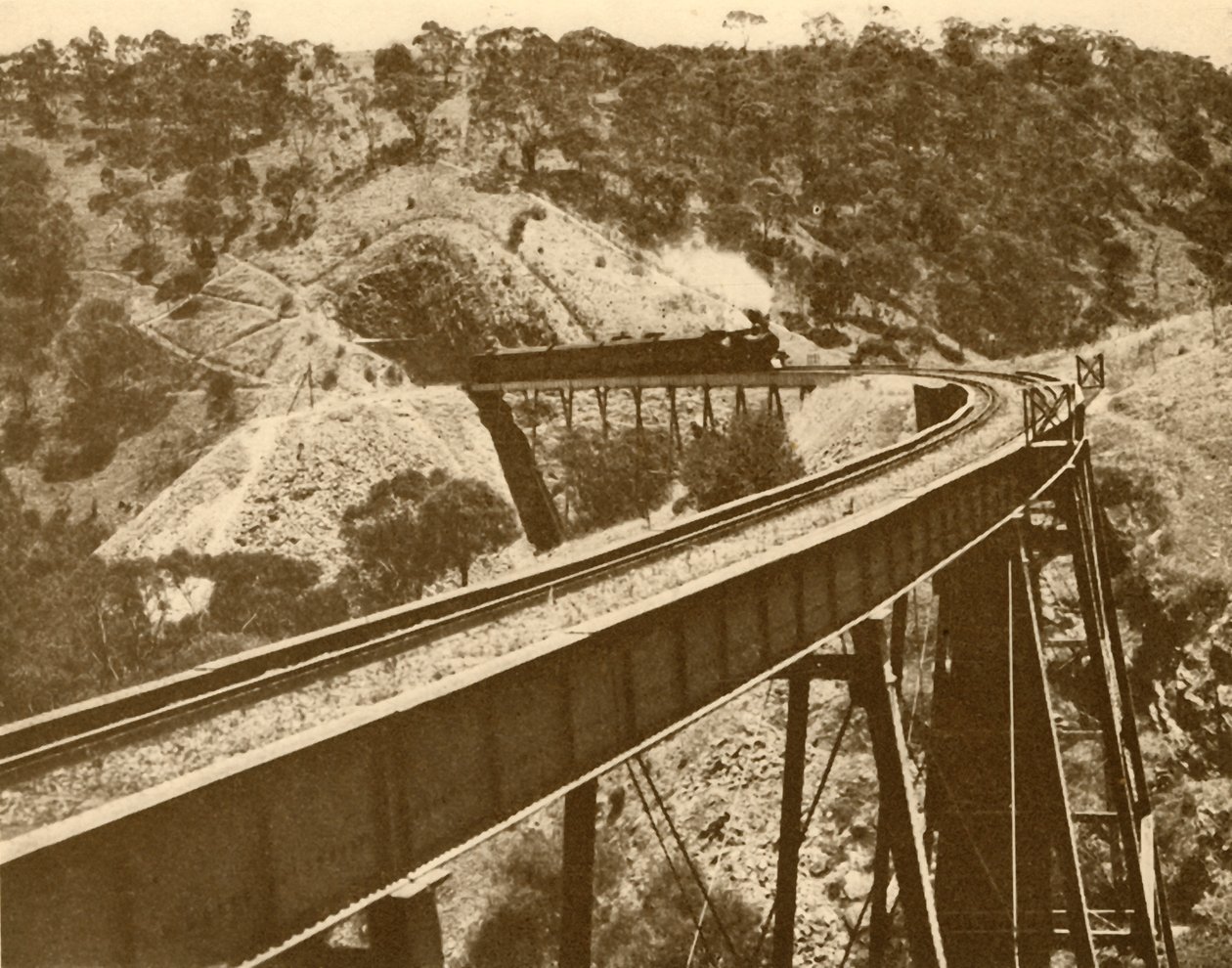 Vlak projíždějící přes viadukt, Mount Lofty Range, Jižní Austrálie, 1930. od Unbekannt