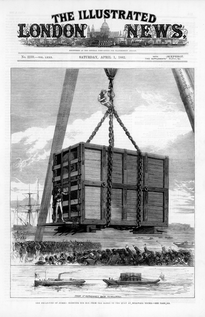 Transport Jumbo slona afrického do Ameriky, 1882 od Unbekannt