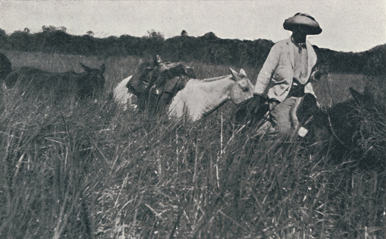 Cestování po pampách, 1916 od Unbekannt