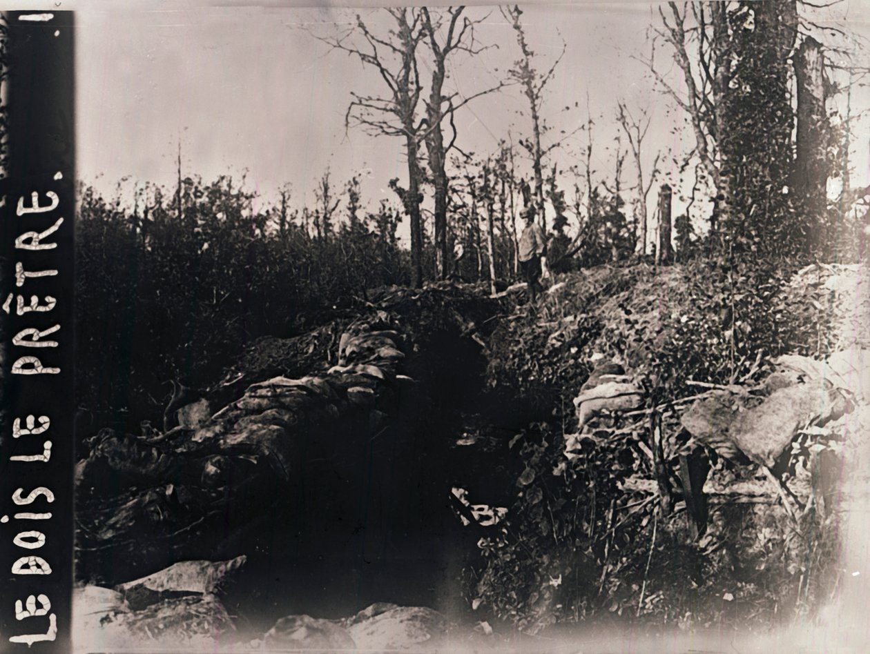 Trenches, Bois-le-Prêtre, Lorraine, severní Francie, c1914-c1918 od Unbekannt