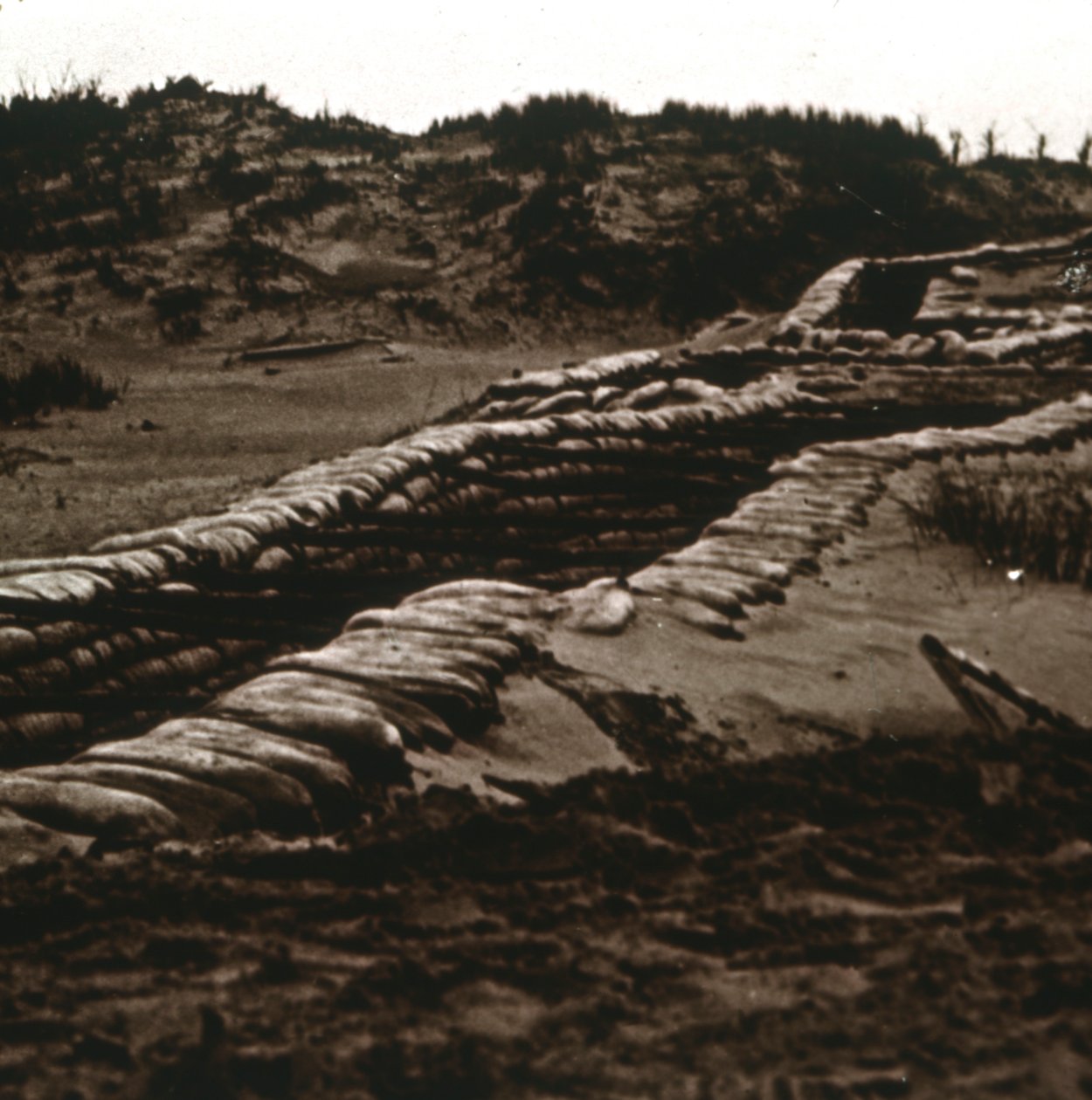 Příkopy v úkrytu dun, Nieuwpoort, Flandry, Belgie, c1914-c1918 od Unbekannt