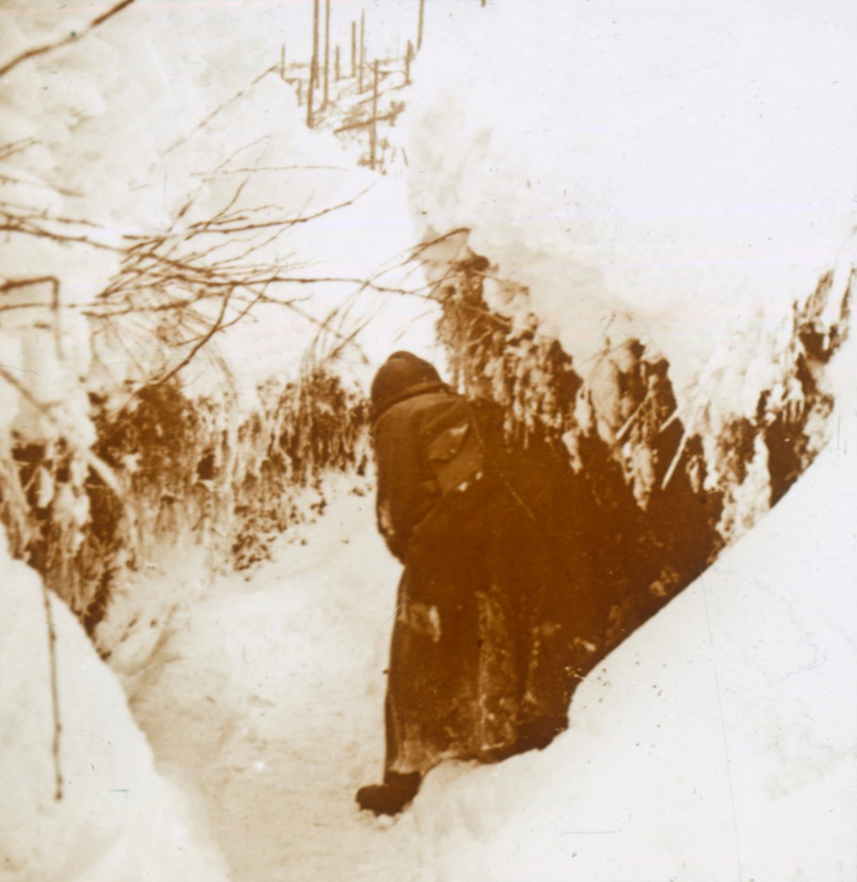 Příkopy ve sněhu, Alsasko, východní Francie, c1914-c1918 od Unbekannt