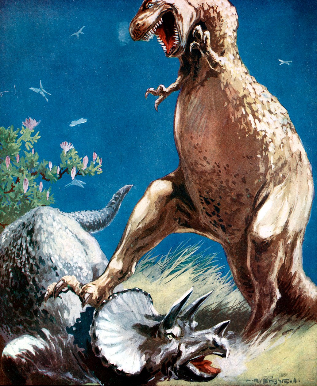 Triceratops, rohatý dinosaurus, držený tyranosaurem, c1920 od Unbekannt