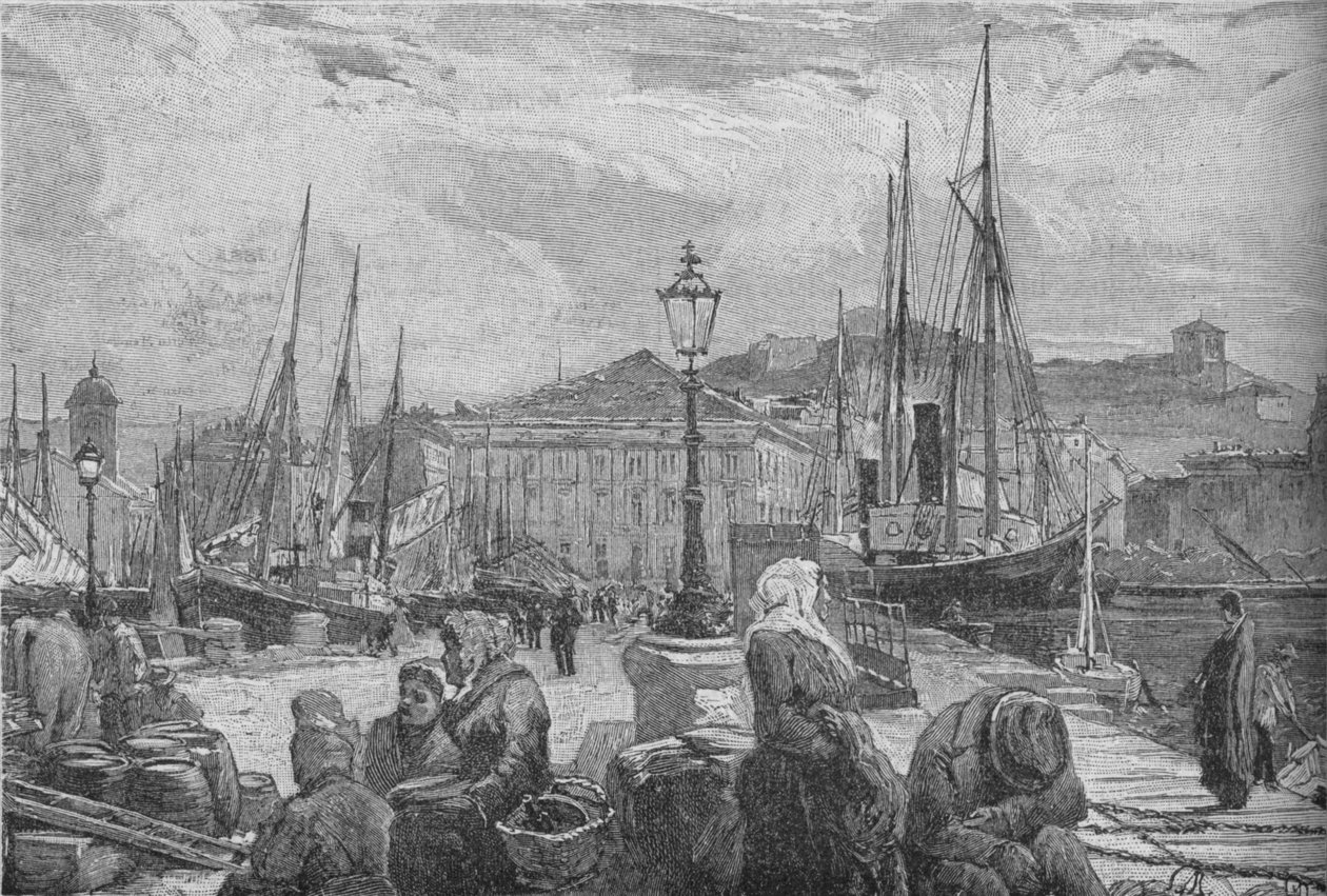 Terstský přístav, 1902 od Unbekannt