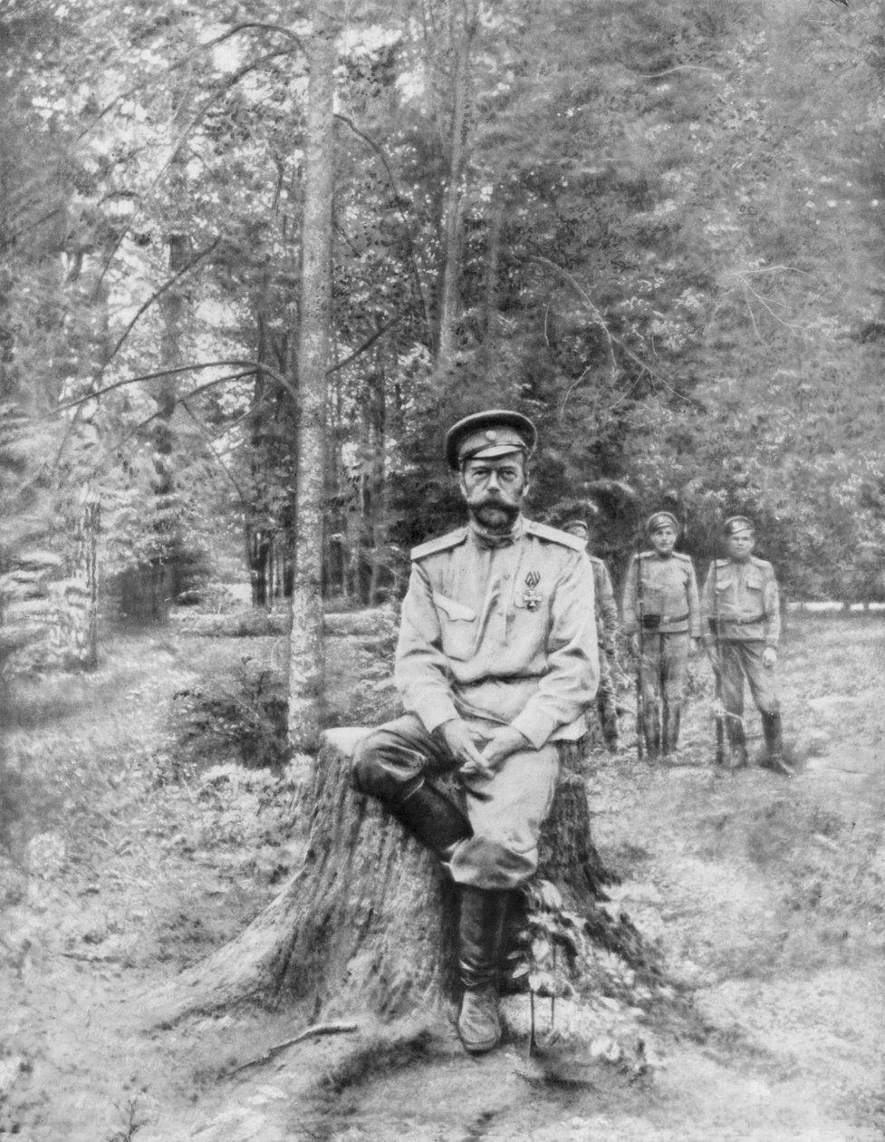 Car Nicholas II v exilu, Tobolsk, Sibiř, 13. srpna 1917 od Unbekannt