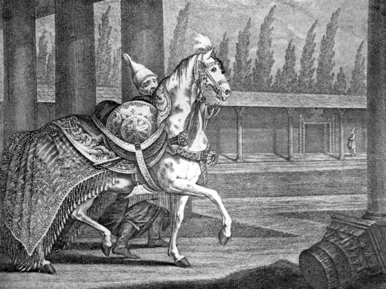 Turecký arabský kůň Sultans, 1722 1938 od Unbekannt