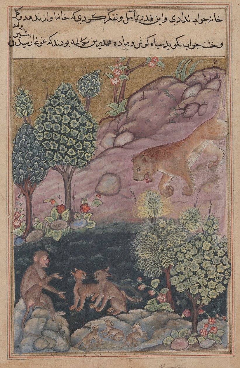 Tuti-Nama Příběhy papouška: Příběh XXIX., Lev se vrací na své území a vidí, c. 1560. od Unbekannt