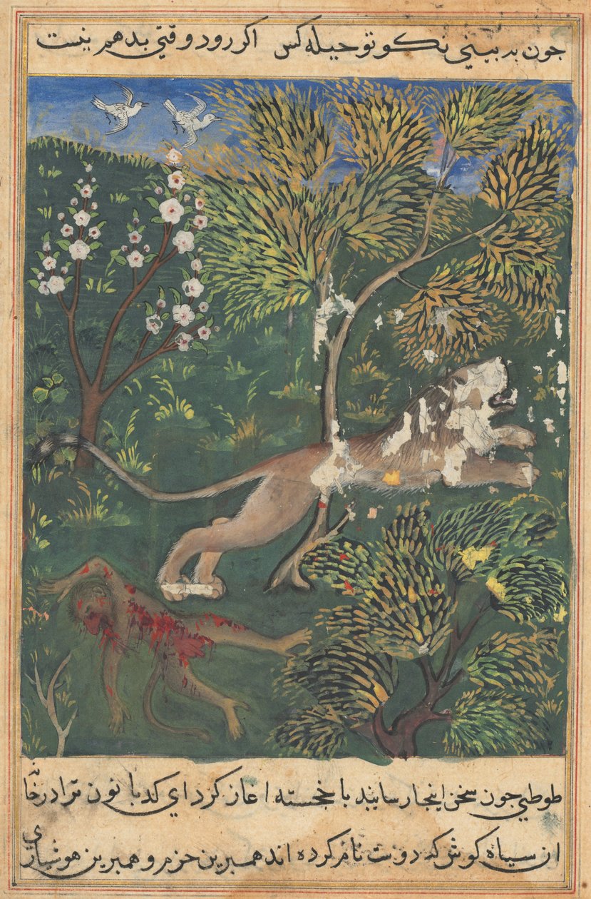 Tuti-Nama Příběhy papouška: Příběh XXIX, c. 1560. od Unbekannt