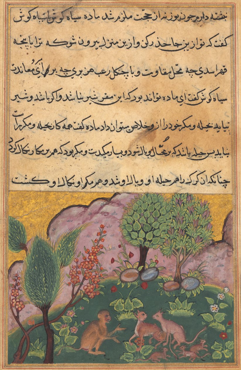Tuti-Nama Příběhy papouška: Příběh XXIX, c. 1560. od Unbekannt