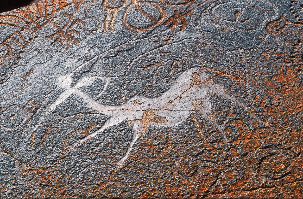 Skalní malby Twyfelfontein, DAMARALAND, NAMIBIE od Unbekannt