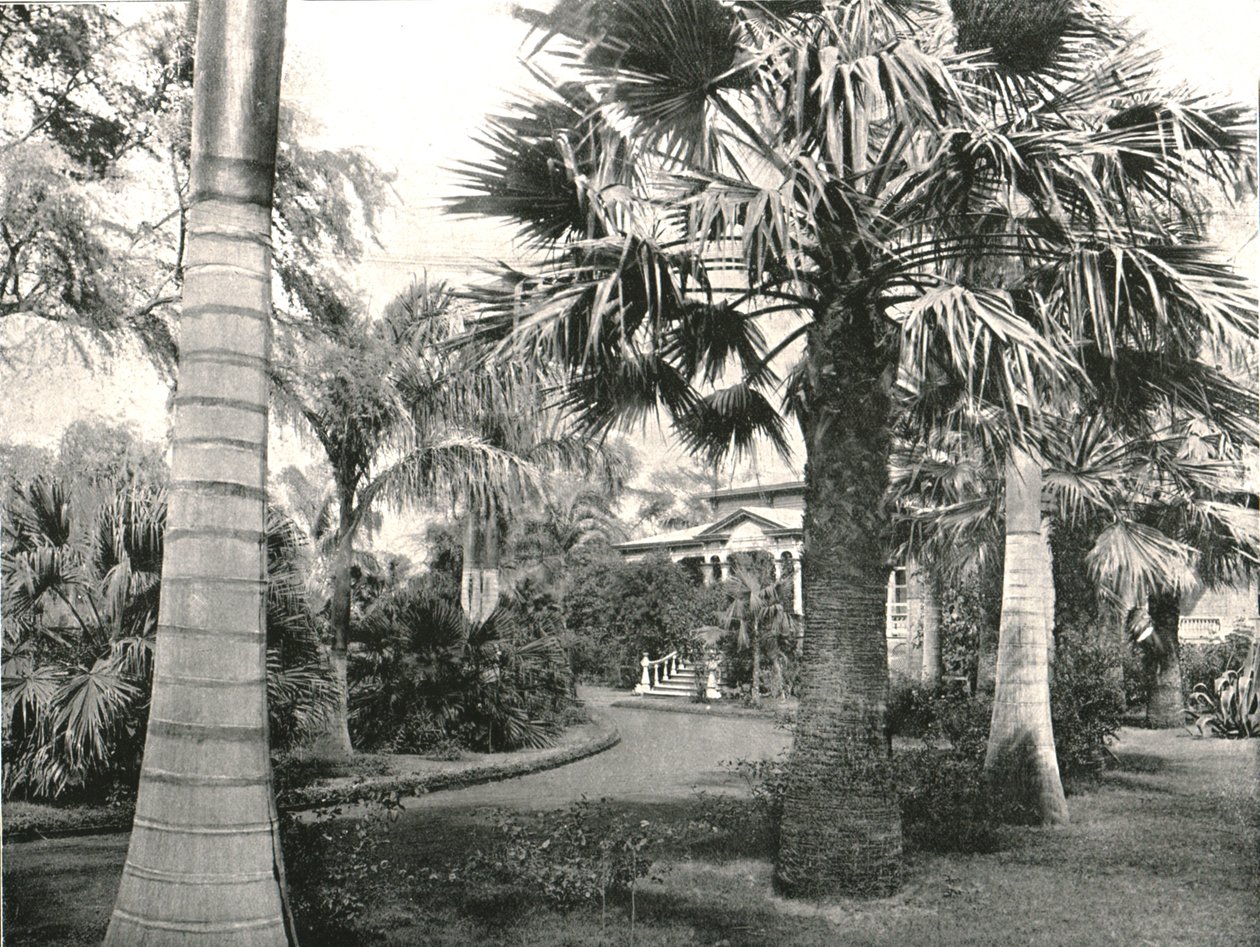 Typický havajský dvůr, Honolulu, USA, 1895. od Unbekannt