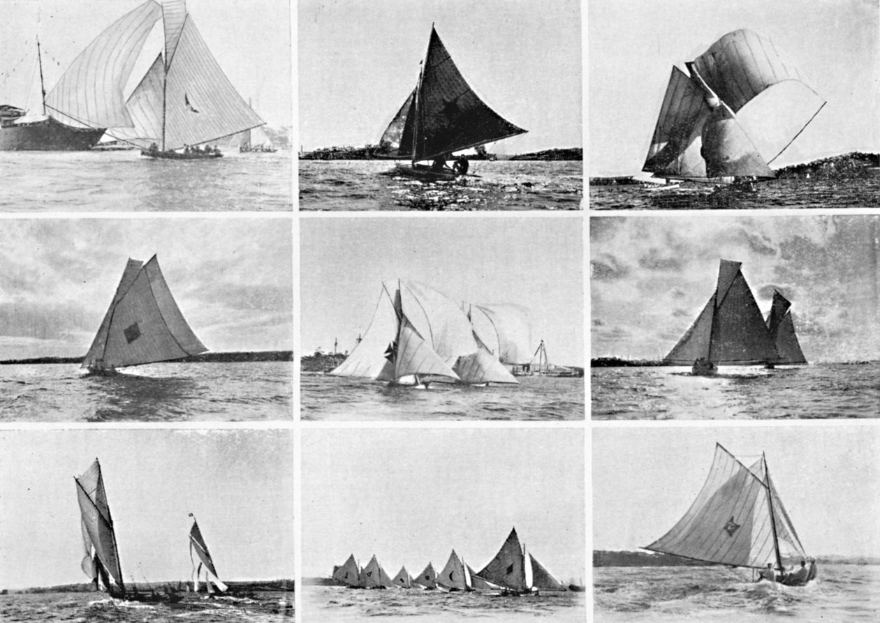 Typické jachtařské scény v přístavu Sydney, c1900. od Unbekannt