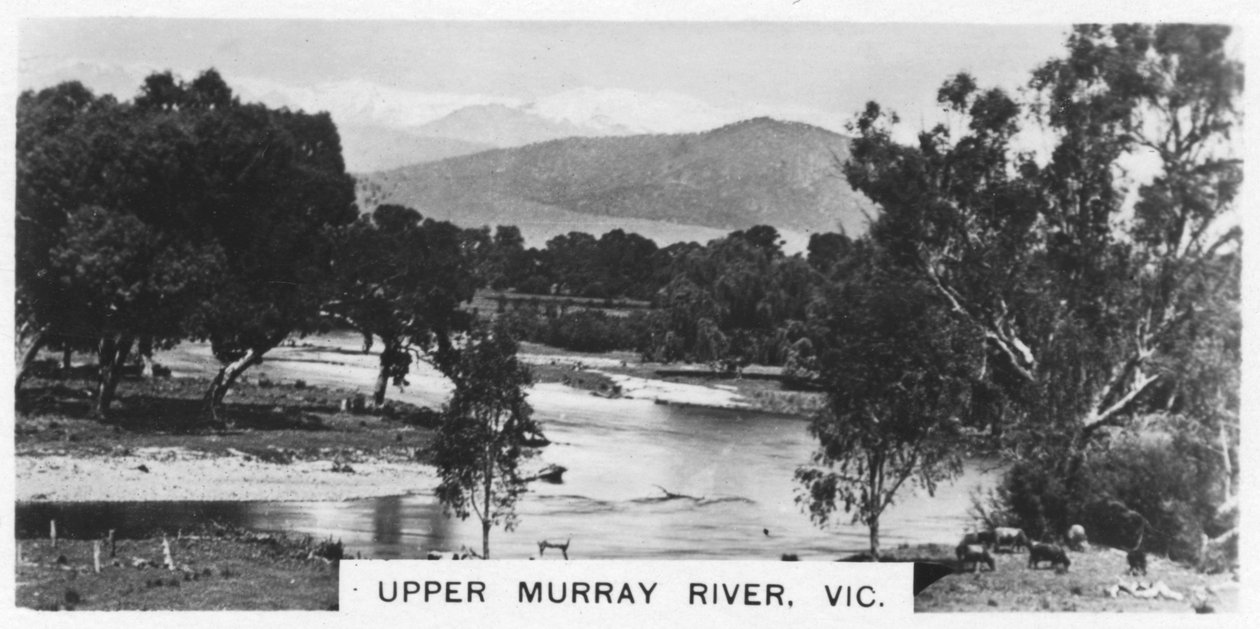 Upper Murray River, Victoria, Austrálie, 1928 od Unbekannt