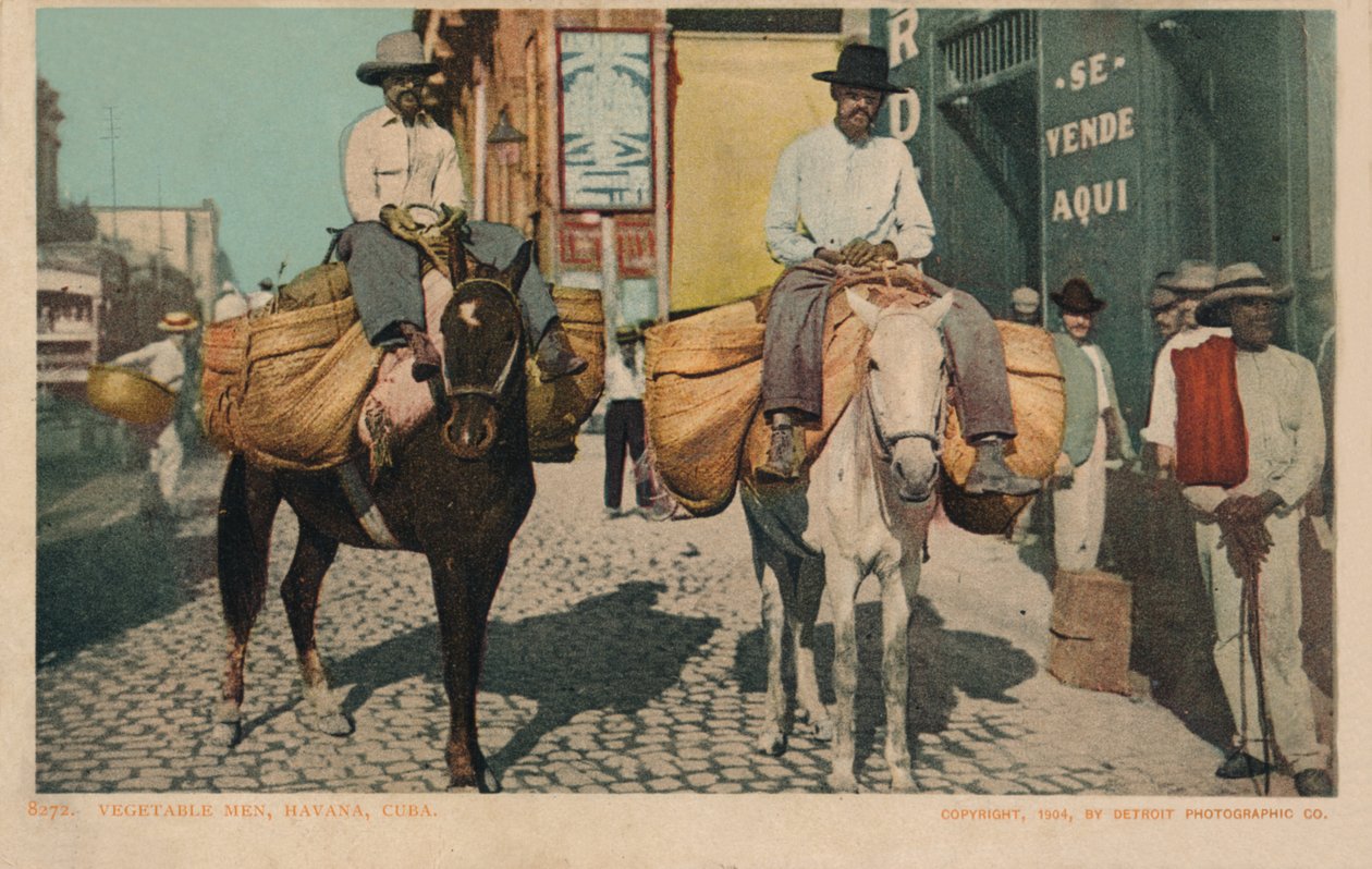 Vegetable Men, Havana, Kuba, 1904 od Unbekannt